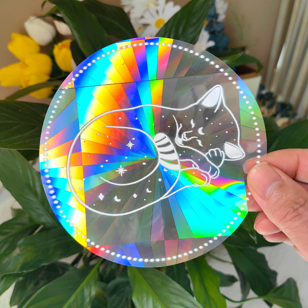 Circular rainbow-colored object with a cat design held by a hand against a plant background