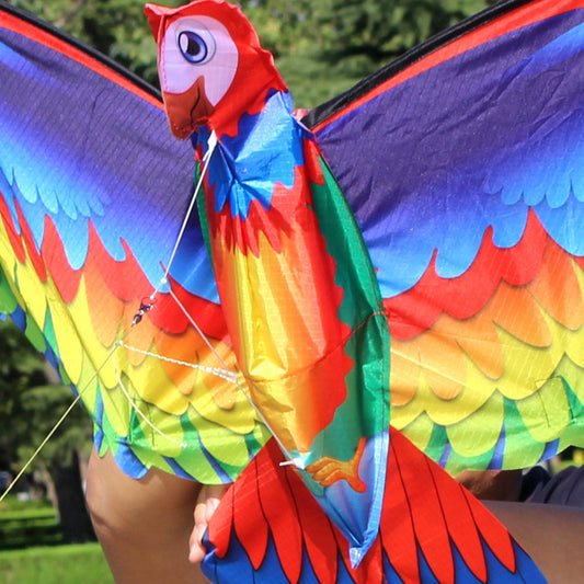 Colorful parrot-shaped kite held by a person with a blurred green background