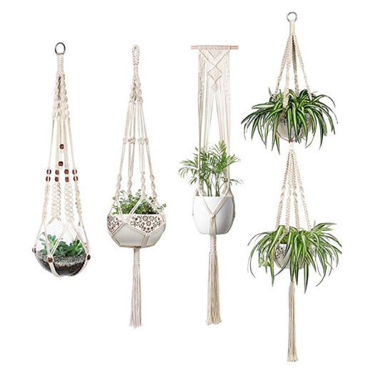 Set of five macrame plant hangers with plants on a white background