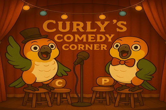 Curley Sue and Pechoo's  comedy store calamities