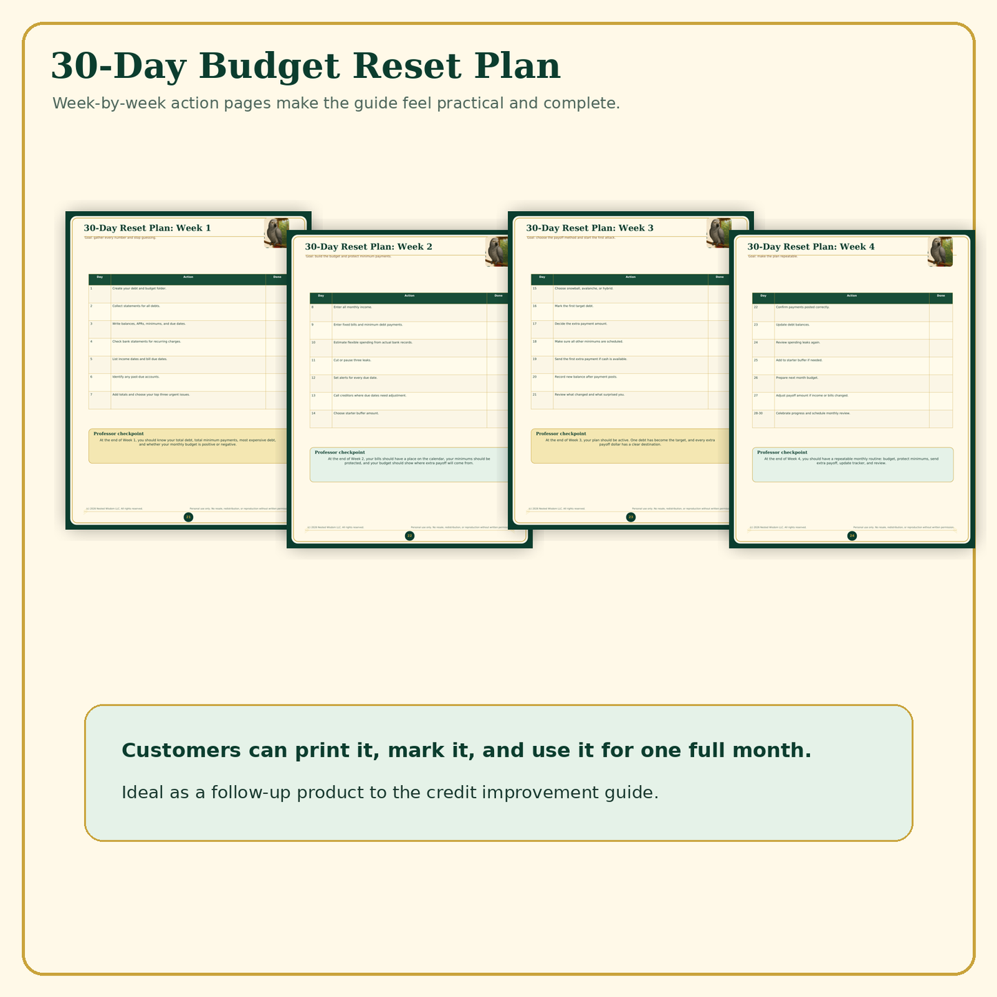 The Nested Professor's Debt Payoff & Budget Reset Plan | Nested Wisdom