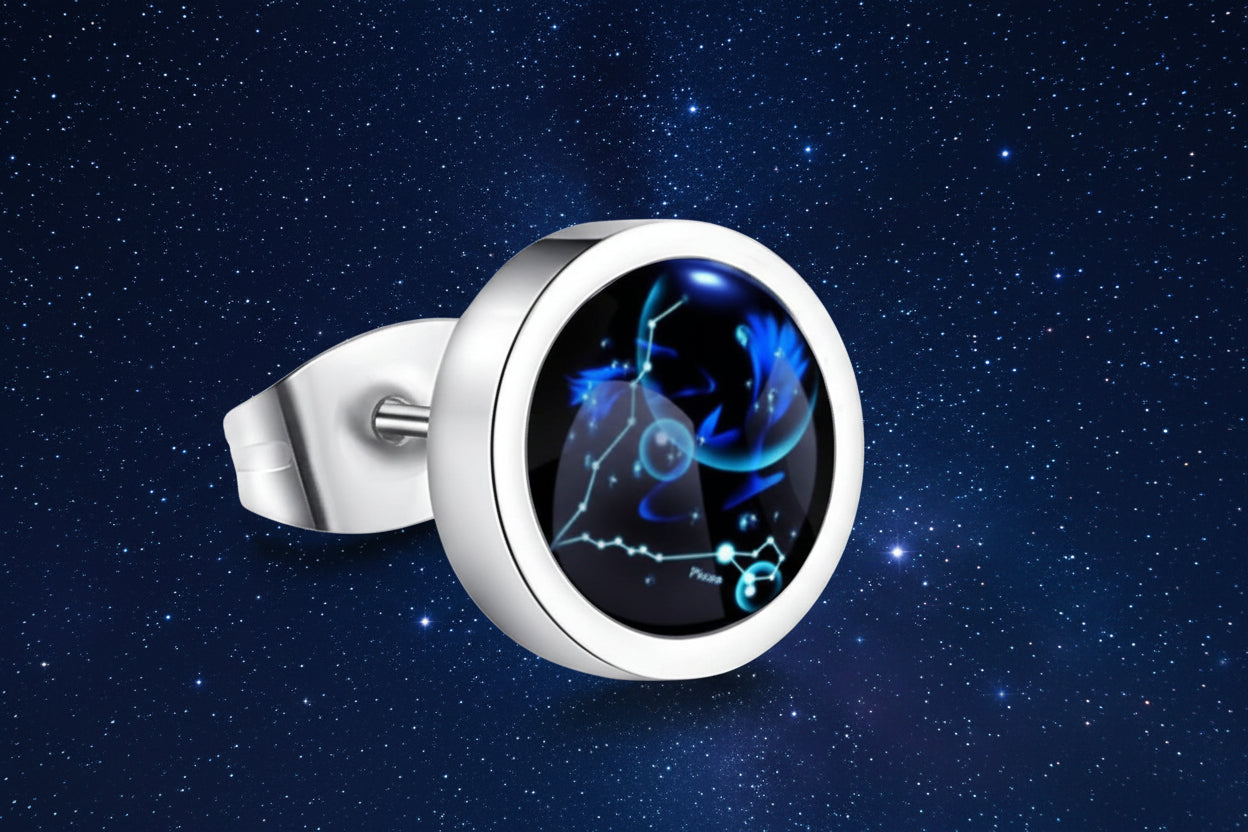 Silver earring with a blue and black design on a white background from nested wisdom