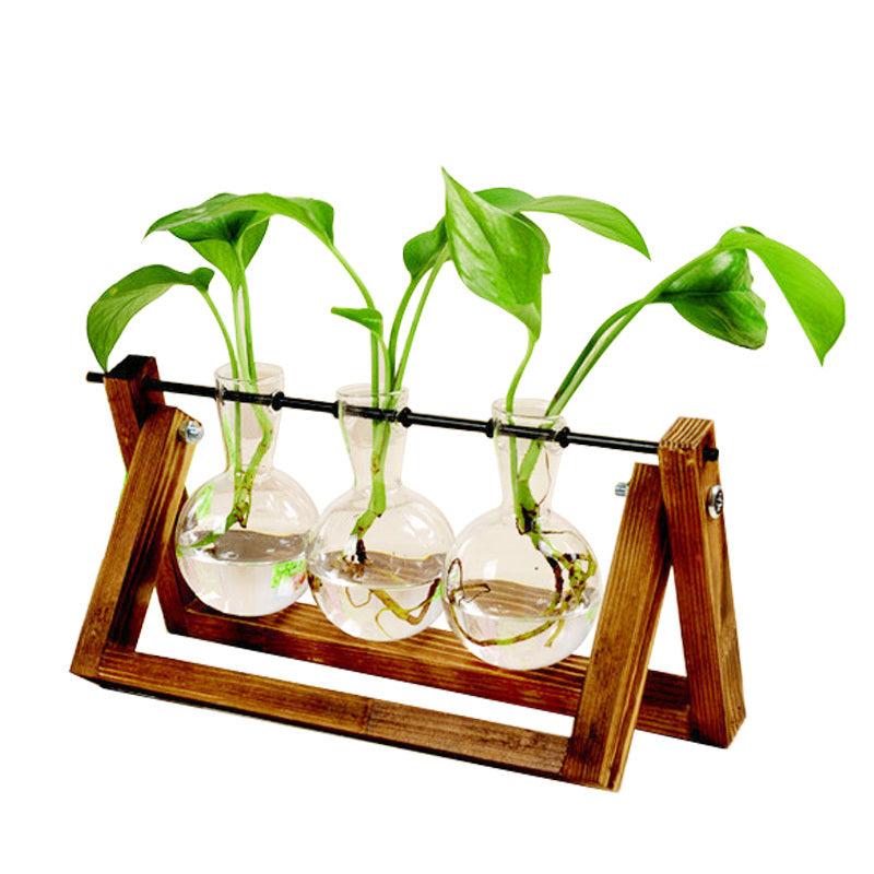 Three glass bulbs with plants on a wooden stand against a white background