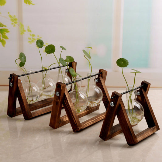 Wooden frame with glass terrariums containing plants on a light surface.