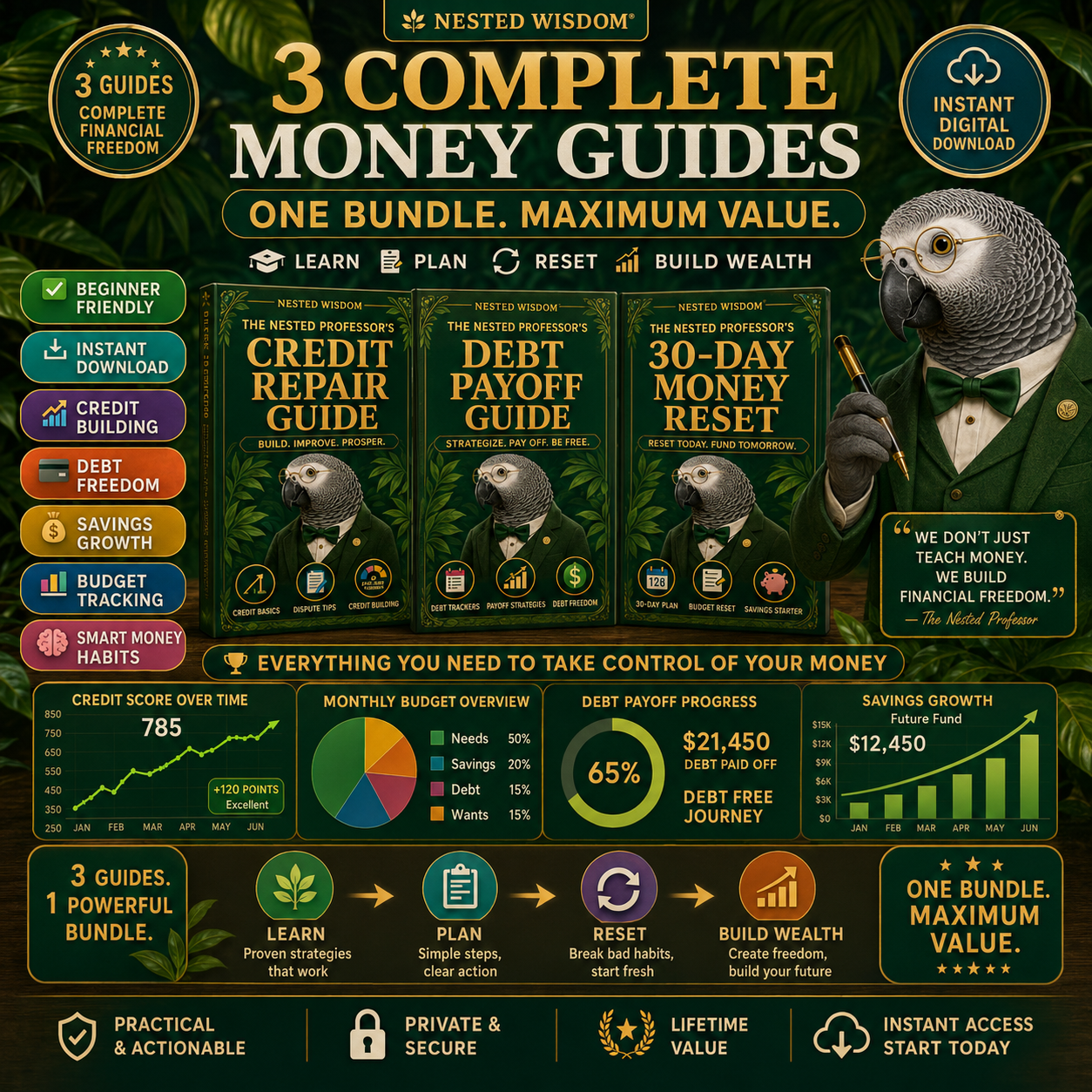 The Nested Professor’s Complete Money Nest Bundle | Nested Wisdom