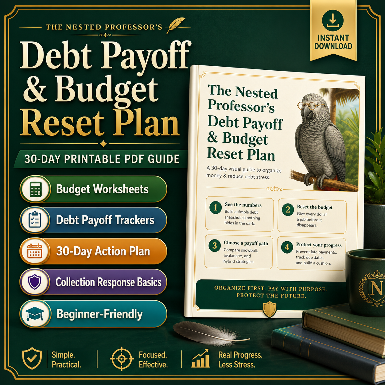 The Nested Professor's Debt Payoff & Budget Reset Plan | Nested Wisdom