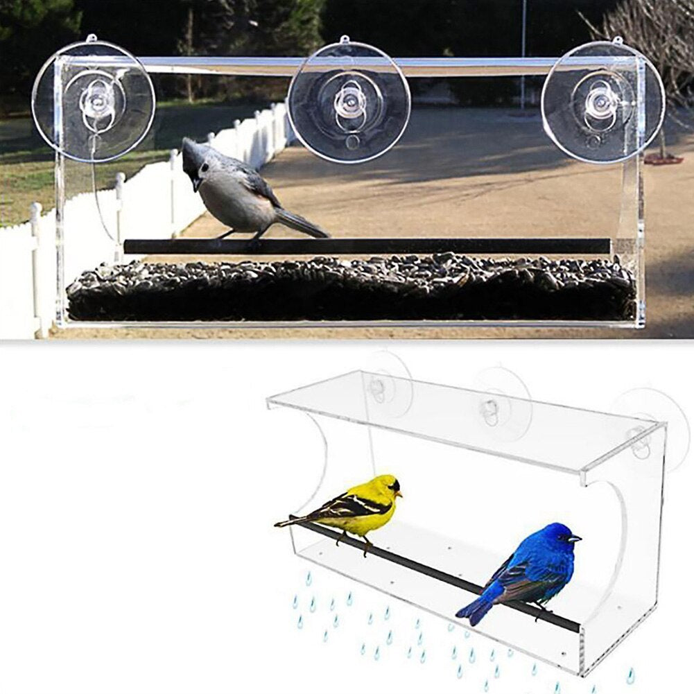 Clear bird feeder with birds perched on it, set against a natural background.