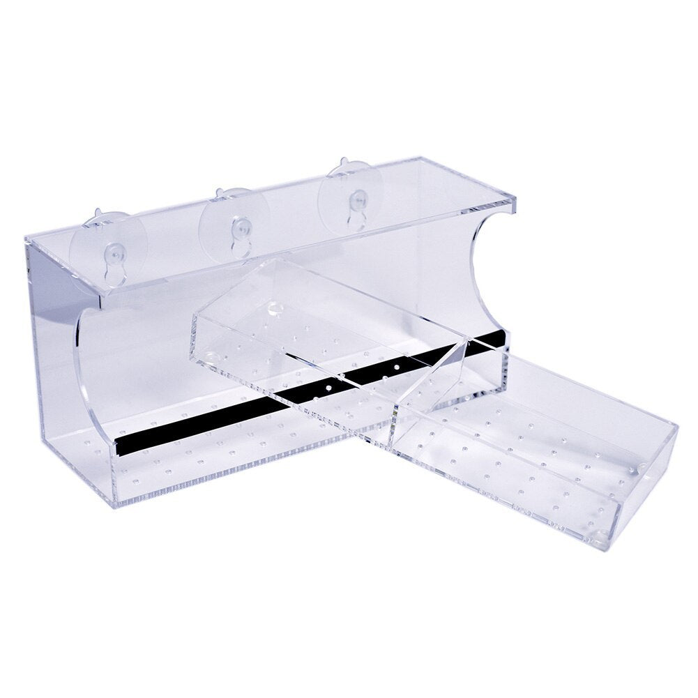 Clear acrylic jewelry display box with a black ribbon on a white background