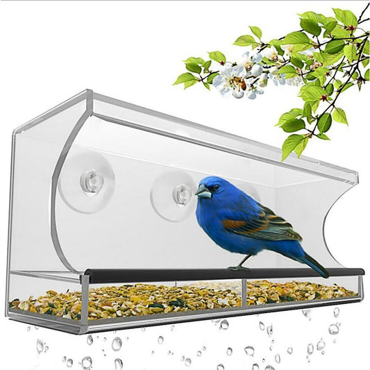 Clear window bird feeder with a blue bird on a white background