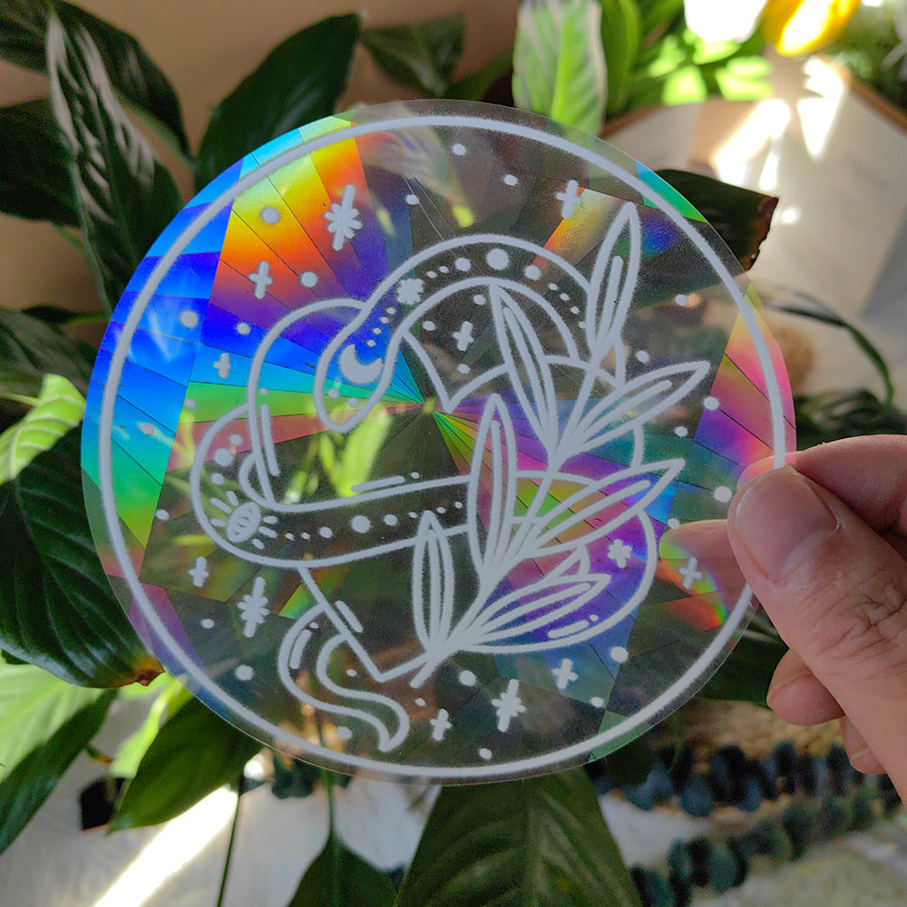 Holographic circular object with a white design held by a hand against a plant background