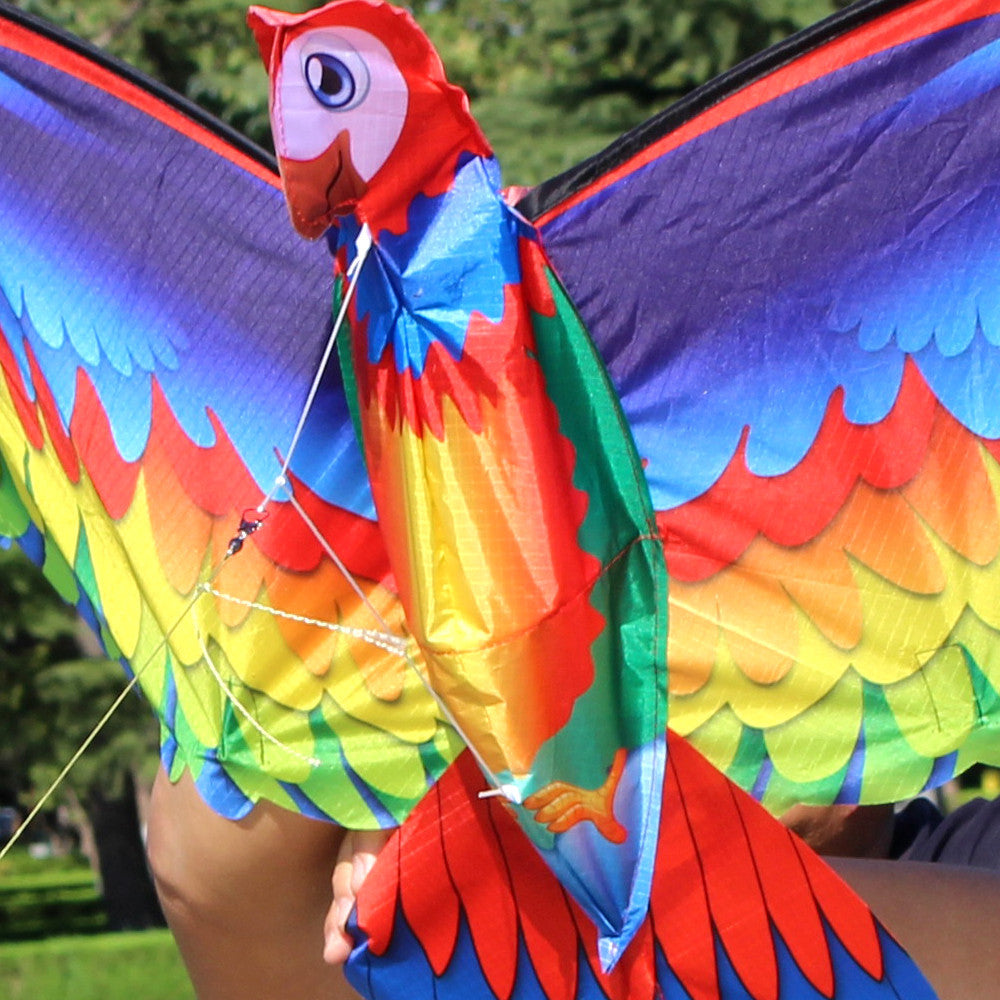 Colorful parrot-shaped kite held by a person with a blurred green background