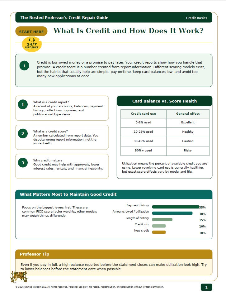 The Nested Professor’s Credit Repair & Debt Payoff Bundle | Nested Wisdom