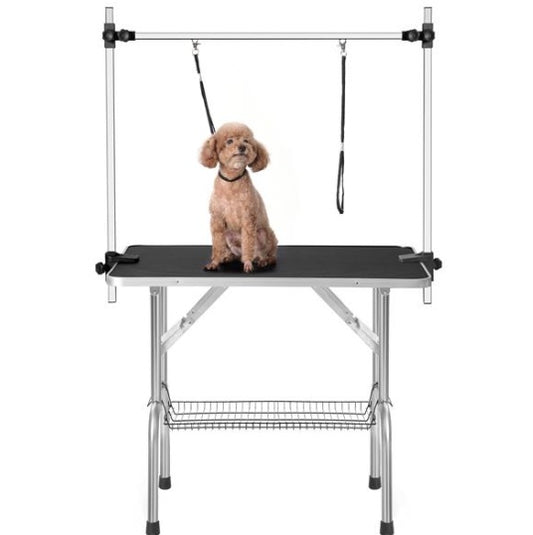 Dog grooming table with a dog on it against a white background
