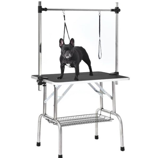 Dog grooming table with a dog on it against a white background
