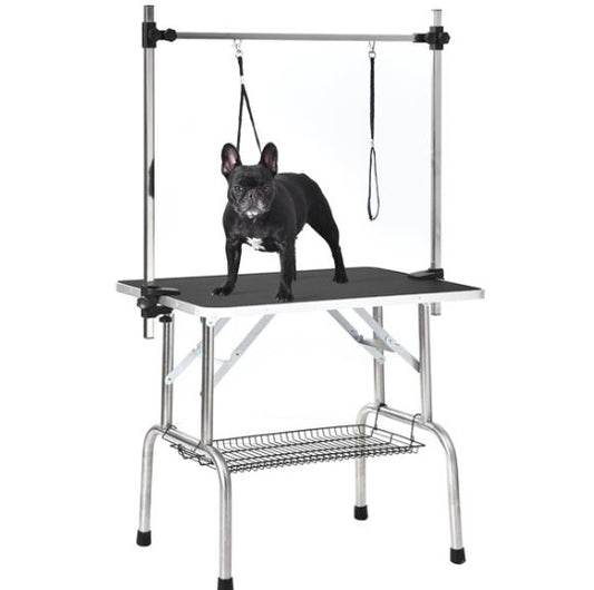 Dog grooming table with a dog on it against a white background