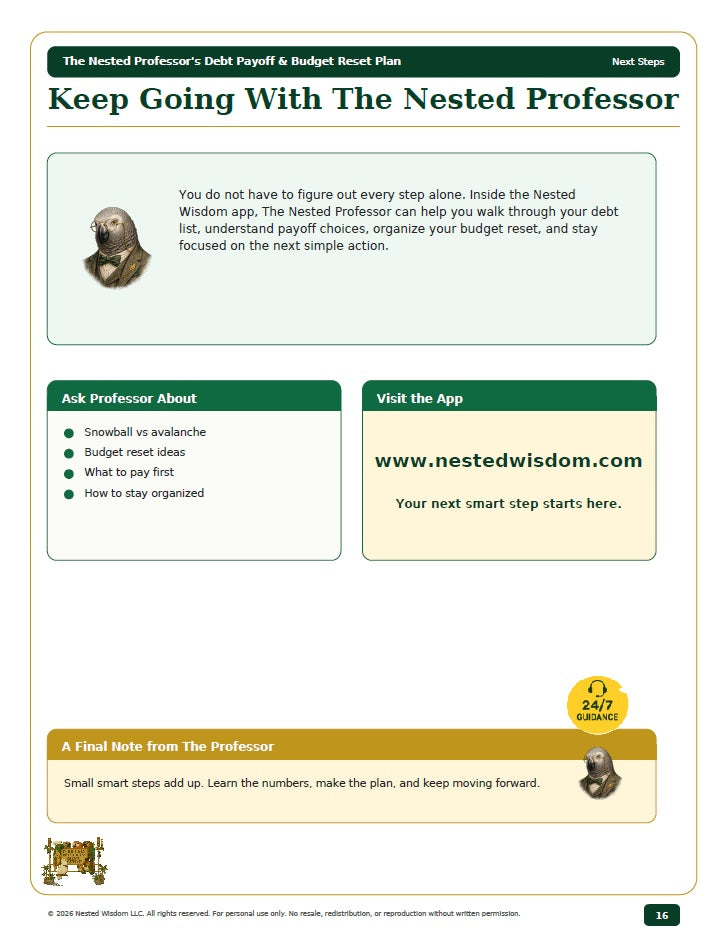 The Nested Professor's Debt Payoff & Budget Reset Plan | Nested Wisdom