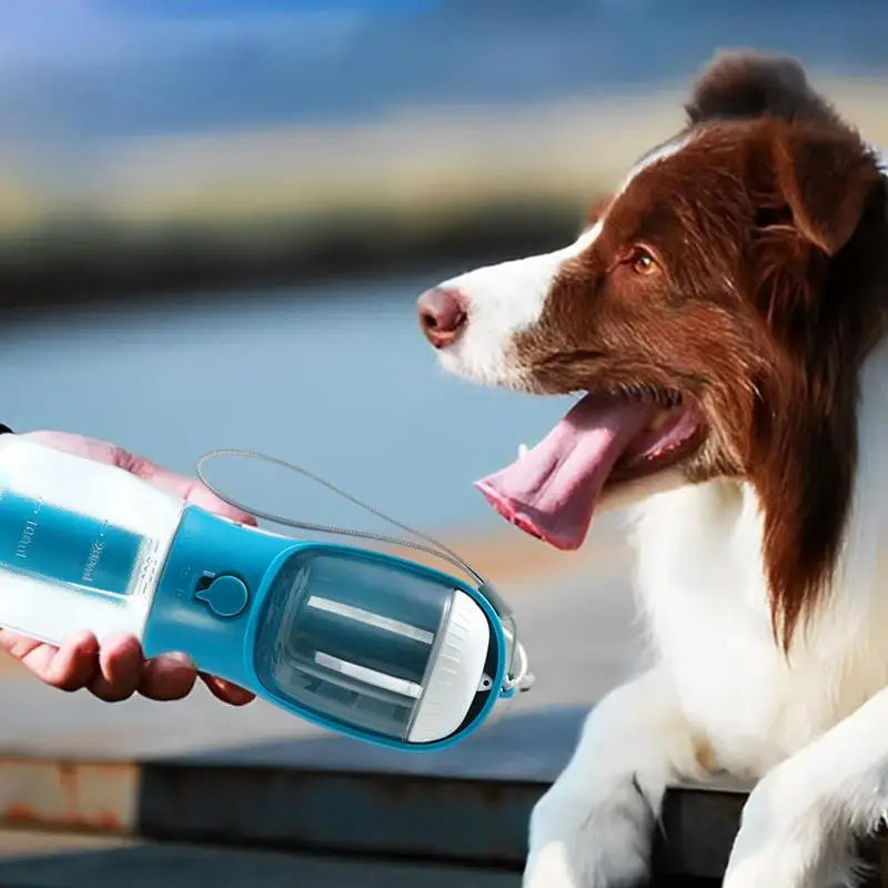 Dog drinking water from a portable blue water bottle with a blurred background