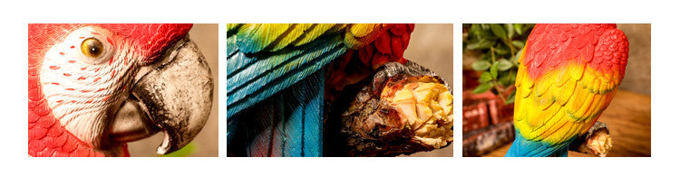Collage of a colorful parrot with close-up details on a white background