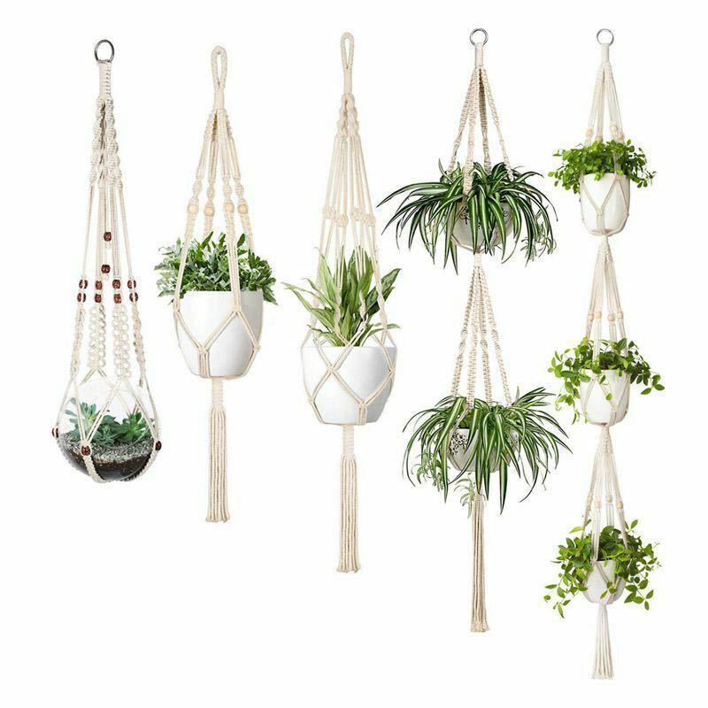 Set of hanging planters with plants on a white background