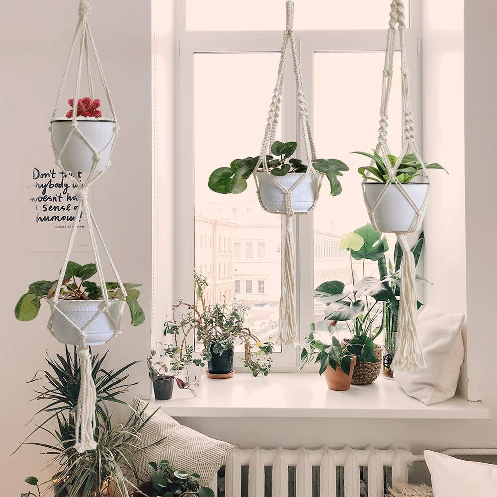 Hanging planters with plants on a windowsill and ledge.
